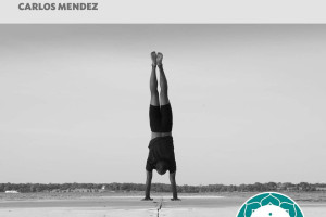 Yoga Shake 2016 in Ronciglione, Italy