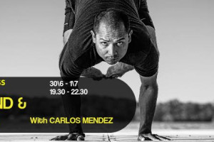 Yogayur Workshop - Rome, Italy